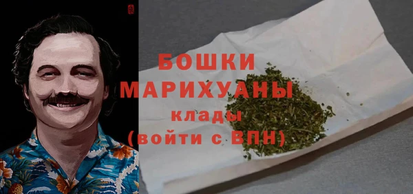 прущие крисы Вяземский