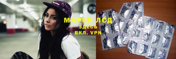 прущие грибы Вязники