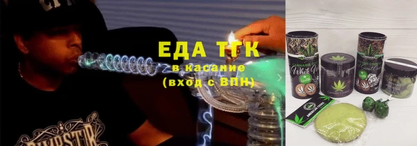 прущие грибы Вязники