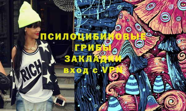 прущие крисы Вяземский