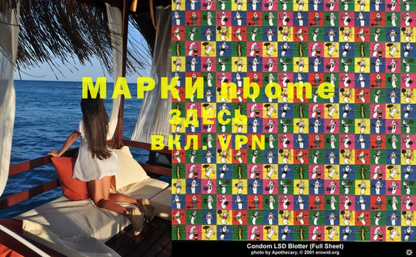 прущие грибы Вязники