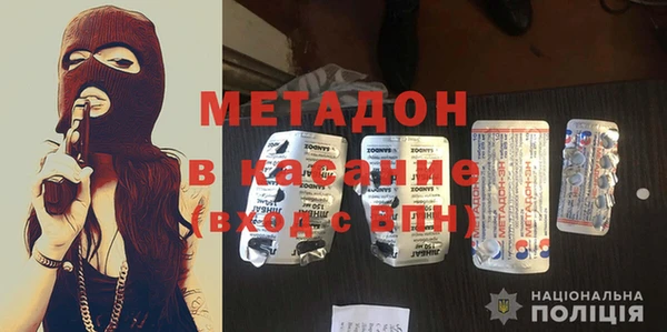 прущие грибы Вязники