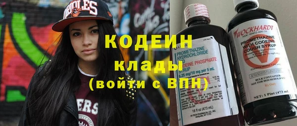 прущие грибы Вязники