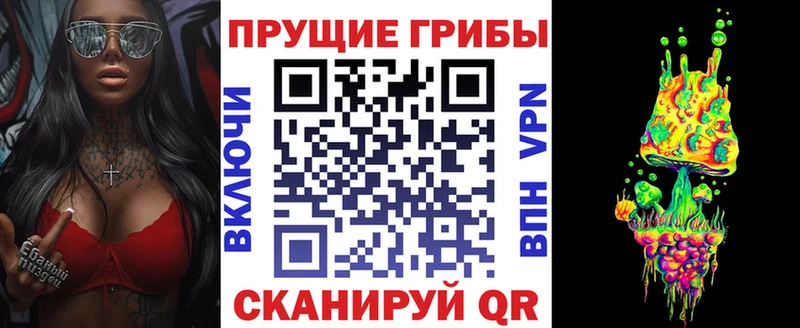 где найти наркотики  гидра ТОР  сайты даркнета наркотические препараты  Железногорск  Псилоцибиновые грибы прущие грибы 